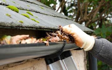 gutter cleaning Rowton