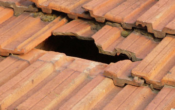 roof repair Rowton